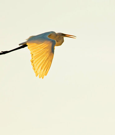 Digital Photography Course: How Shutter Speed Affects Exposure