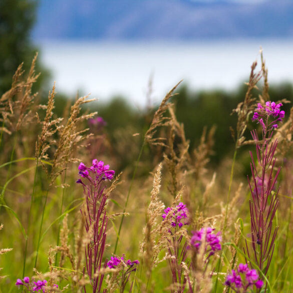 Digital Photography Course: How Exposure Works