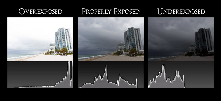 Digital Camera Histogram Graphic