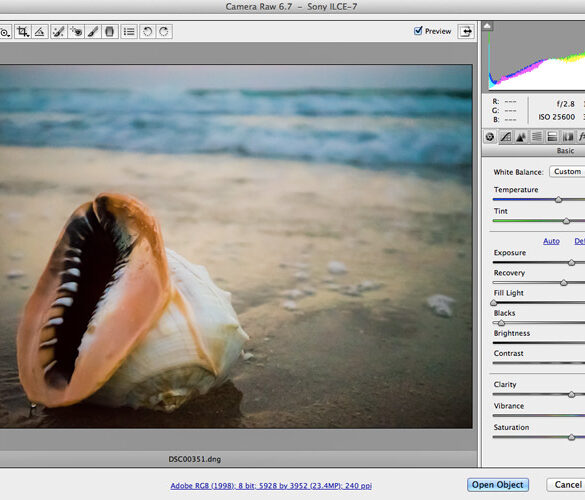 RAW Processing in Adobe Camera RAW