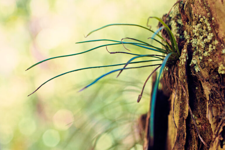 Digital Photography Course: The Relationship Between Aperture and Depth of Field