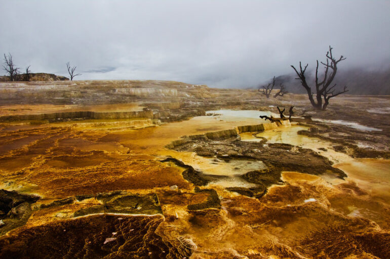10 National Parks Every Photographer Should Visit: Yellowstone National Park