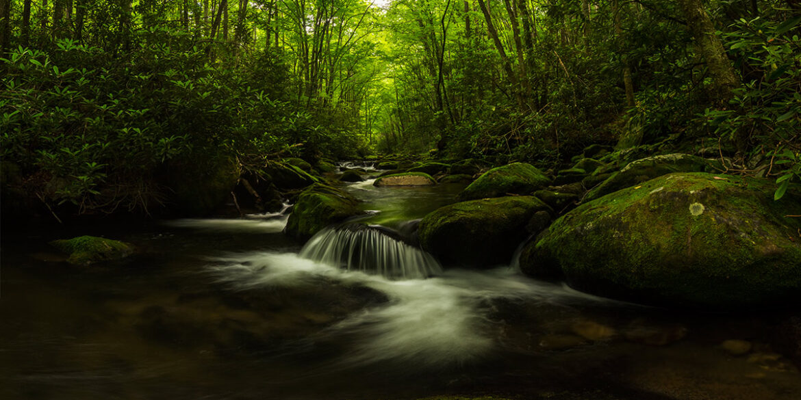 Great Smoky Mountains National Park River