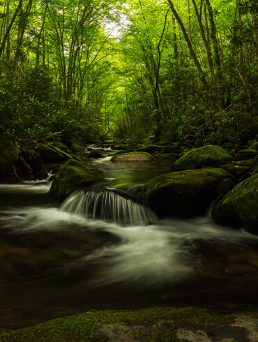 Great Smoky Mountains National Park River
