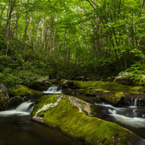 Great Smoky Mountains National Park Waterfall