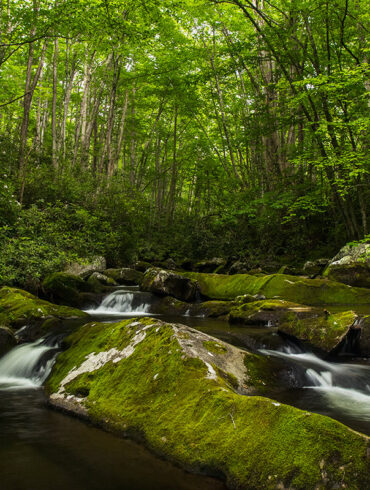 Great Smoky Mountains National Park Waterfall